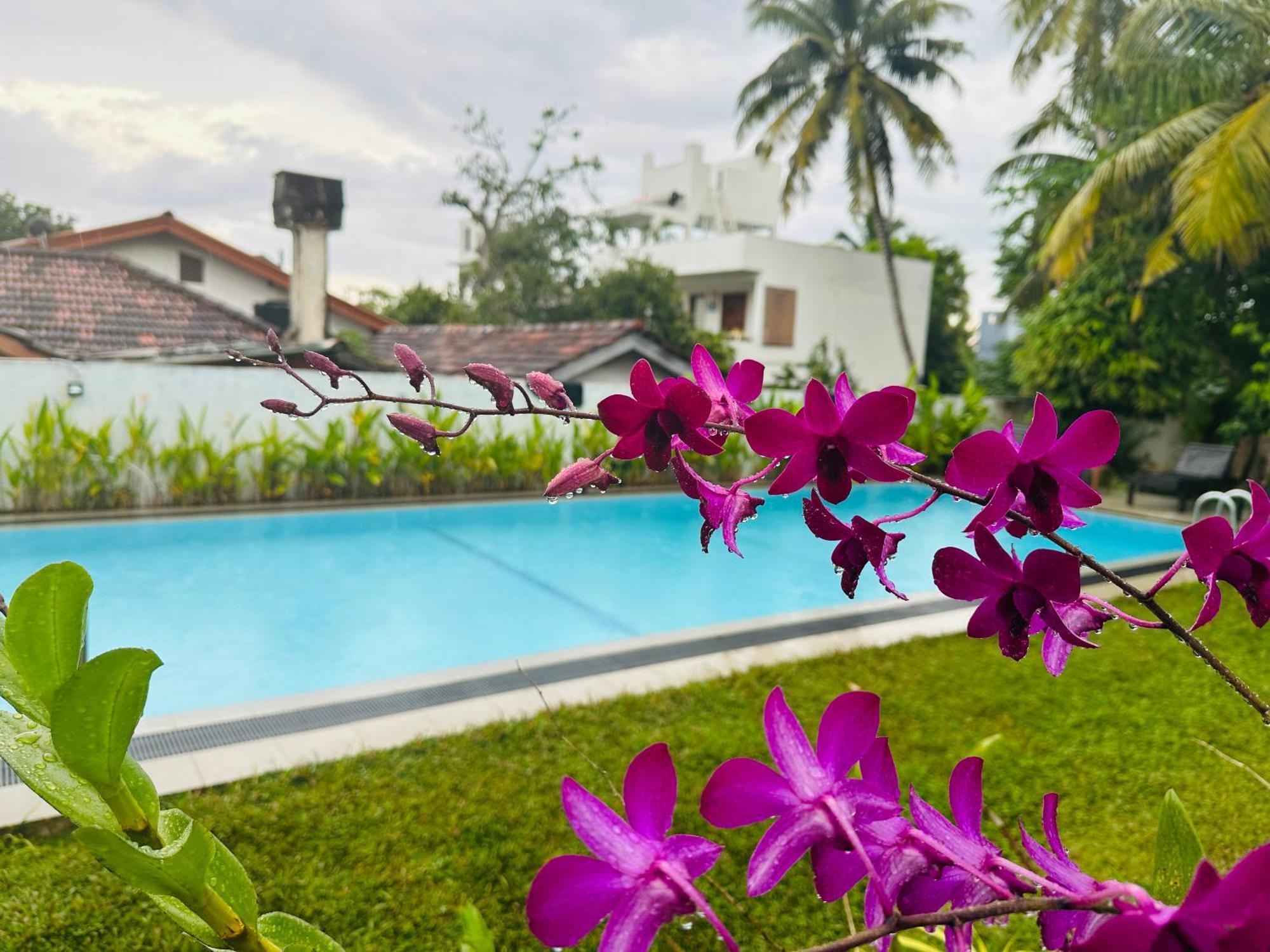Star Holiday Resort Hikkaduwa Buitenkant foto